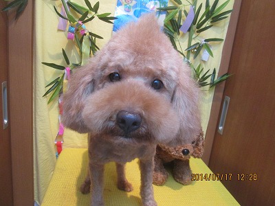 ファイル 7697-1.jpg