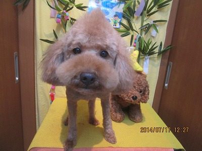 ファイル 7697-2.jpg