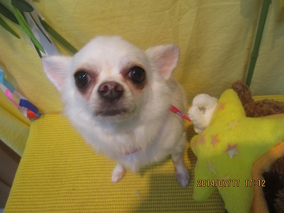 ファイル 7699-2.jpg