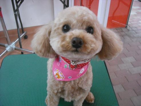 ファイル 77-1.jpg