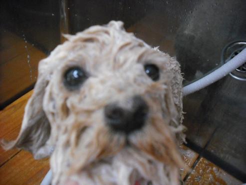 ファイル 77-2.jpg