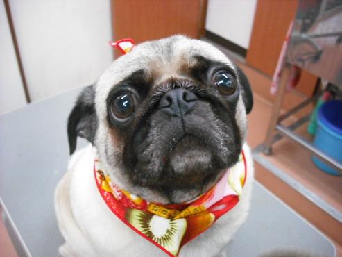 ファイル 770-1.jpg