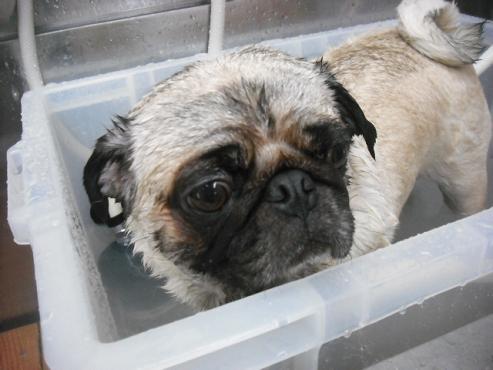 ファイル 770-2.jpg