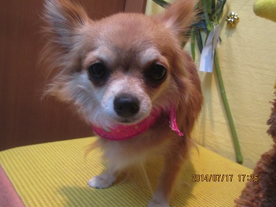 ファイル 7700-2.jpg