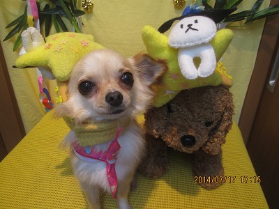 ファイル 7701-1.jpg