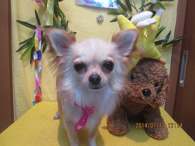 ファイル 7701-2.jpg