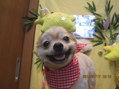 ファイル 7704-2.jpg