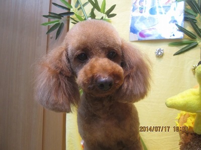 ファイル 7707-1.jpg