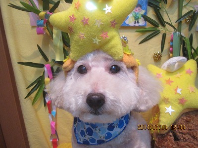 ファイル 7708-1.jpg