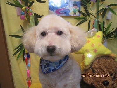 ファイル 7708-2.jpg