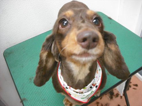 ファイル 771-1.jpg