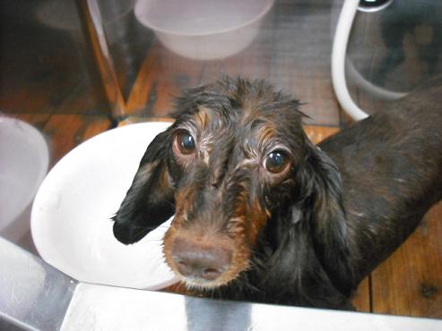 ファイル 771-2.jpg