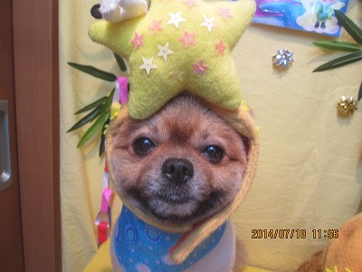 ファイル 7710-1.jpg