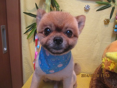 ファイル 7710-2.jpg