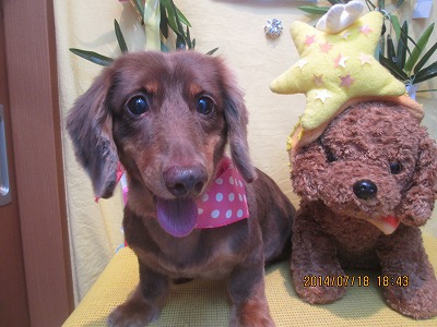 ファイル 7711-1.jpg