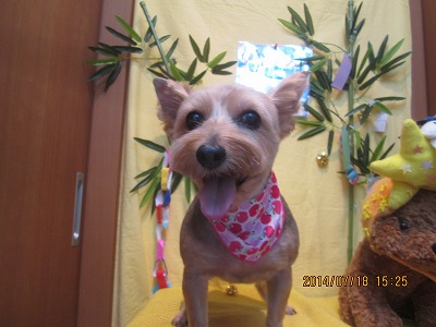 ファイル 7712-2.jpg