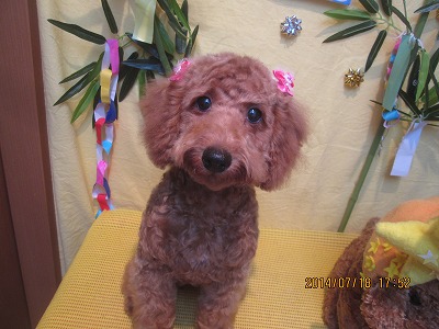 ファイル 7713-2.jpg