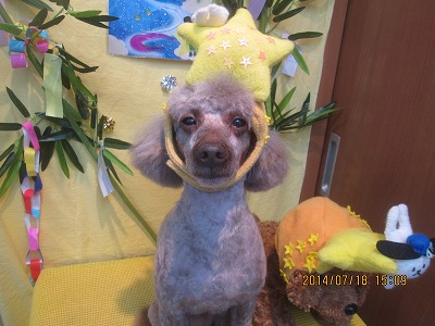 ファイル 7714-1.jpg