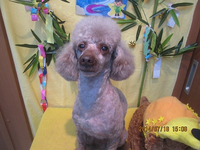 ファイル 7714-2.jpg