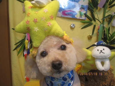 ファイル 7715-1.jpg