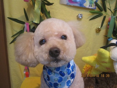 ファイル 7715-2.jpg