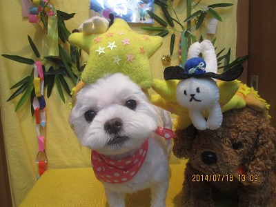 ファイル 7716-2.jpg