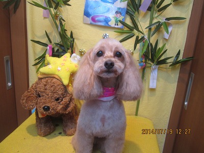 ファイル 7717-2.jpg