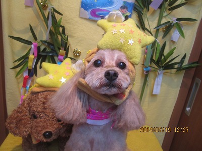 ファイル 7717-3.jpg