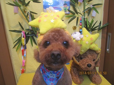 ファイル 7718-1.jpg