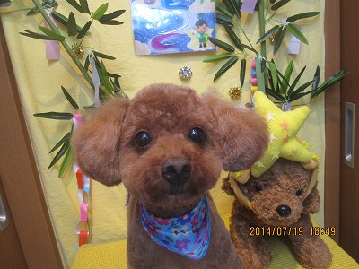 ファイル 7718-2.jpg