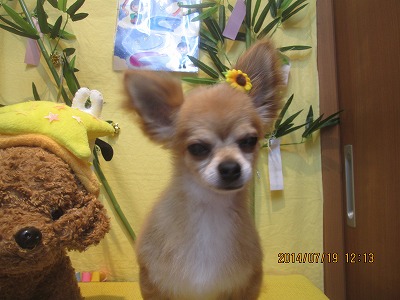 ファイル 7719-2.jpg