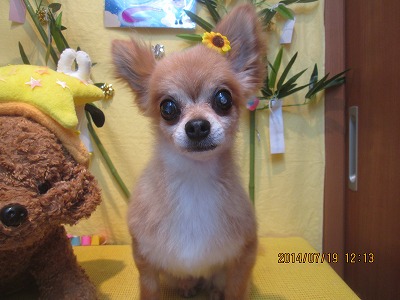 ファイル 7719-3.jpg