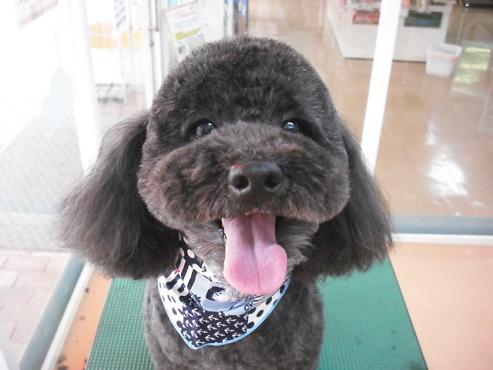 ファイル 772-1.jpg