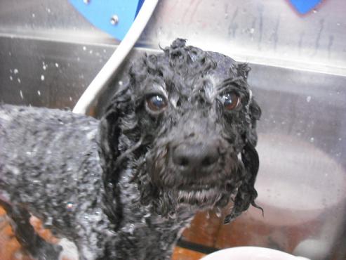 ファイル 772-2.jpg