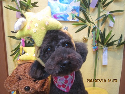 ファイル 7720-1.jpg