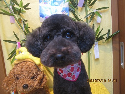 ファイル 7720-2.jpg