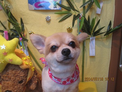 ファイル 7721-2.jpg