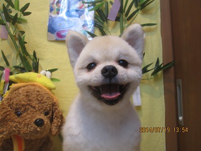 ファイル 7722-2.jpg