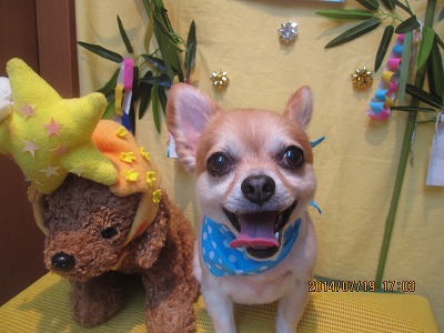 ファイル 7723-2.jpg