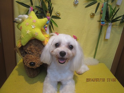 ファイル 7724-2.jpg