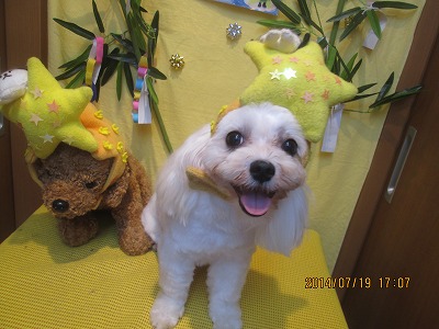 ファイル 7724-3.jpg