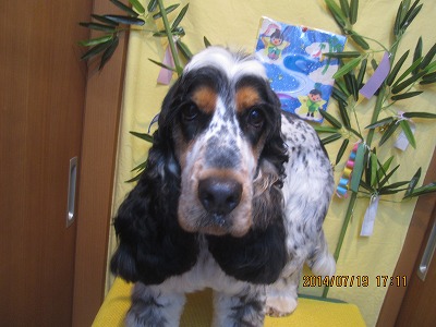 ファイル 7728-2.jpg