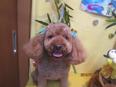 ファイル 7729-2.jpg