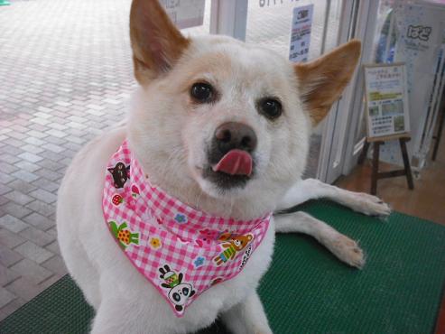 ファイル 773-1.jpg