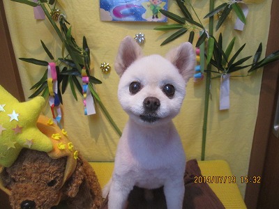 ファイル 7730-2.jpg