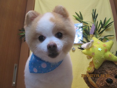 ファイル 7731-1.jpg