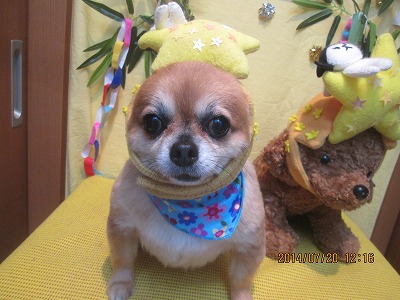 ファイル 7732-2.jpg