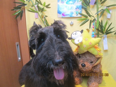 ファイル 7734-2.jpg