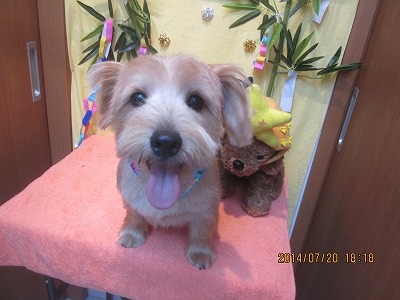 ファイル 7735-1.jpg