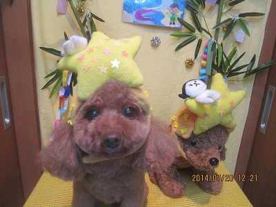 ファイル 7737-1.jpg